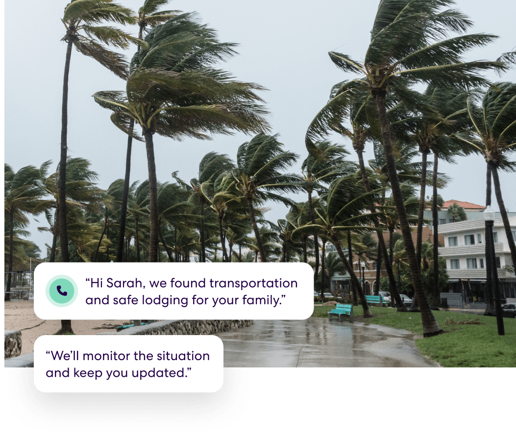 Palm trees blowing in extreme winds