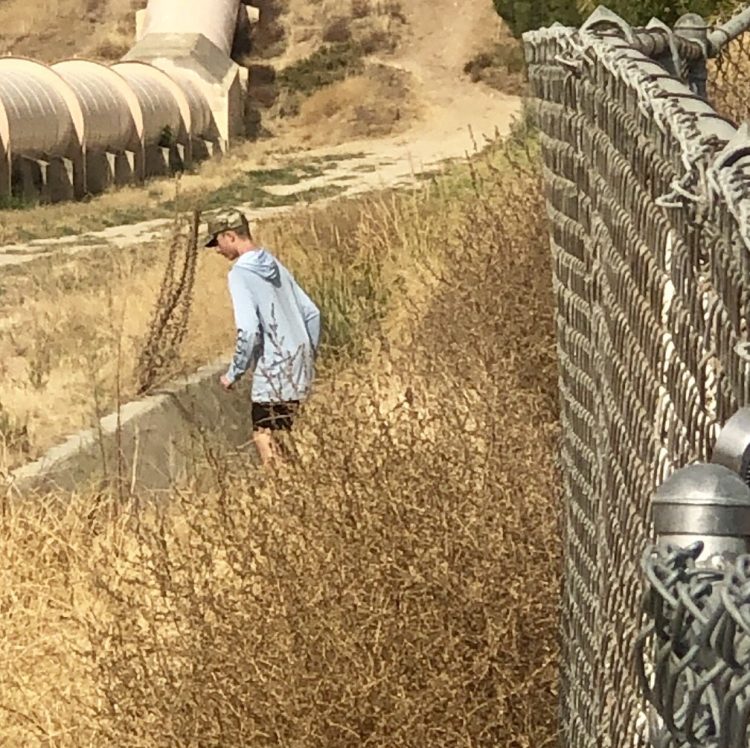 Teenage boy in a field